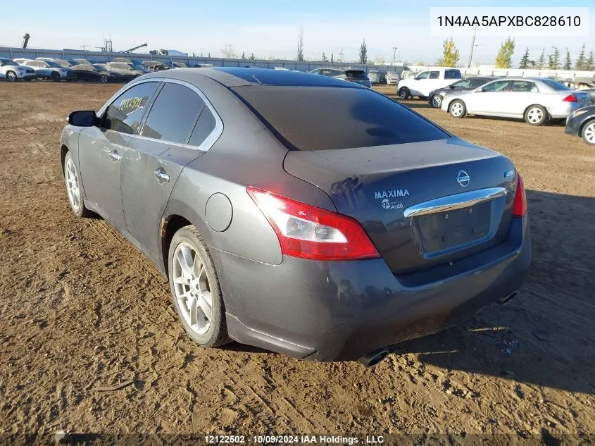 2011 Nissan Maxima 3.5 S VIN: 1N4AA5APXBC828610 Lot: 12122502