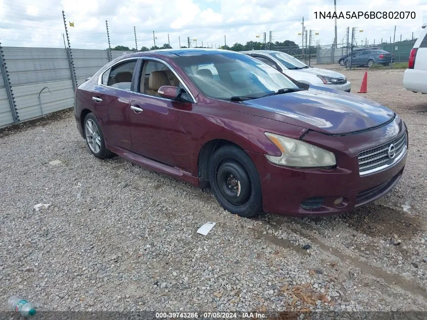 2011 Nissan Maxima 3.5 Sv VIN: 1N4AA5AP6BC802070 Lot: 39743286