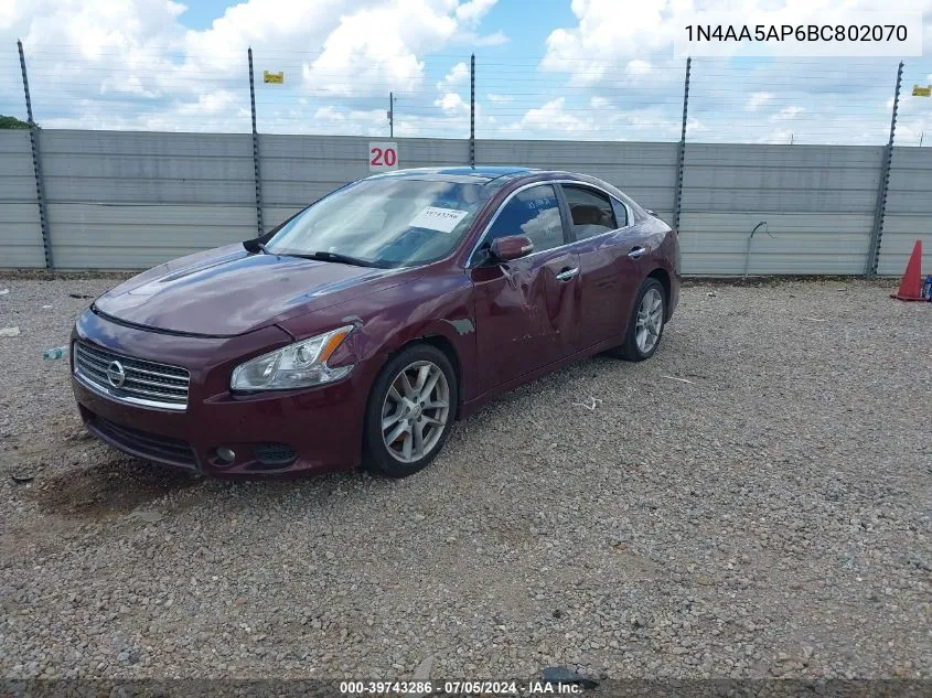 1N4AA5AP6BC802070 2011 Nissan Maxima 3.5 Sv