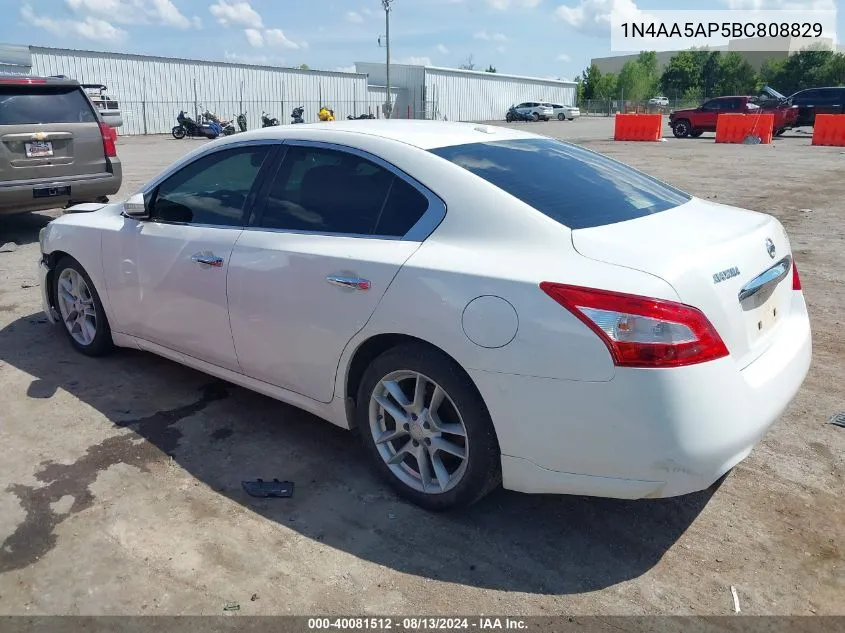 1N4AA5AP5BC808829 2011 Nissan Maxima 3.5 Sv