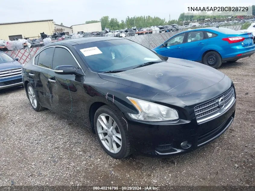 1N4AA5AP2BC828729 2011 Nissan Maxima 3.5 Sv