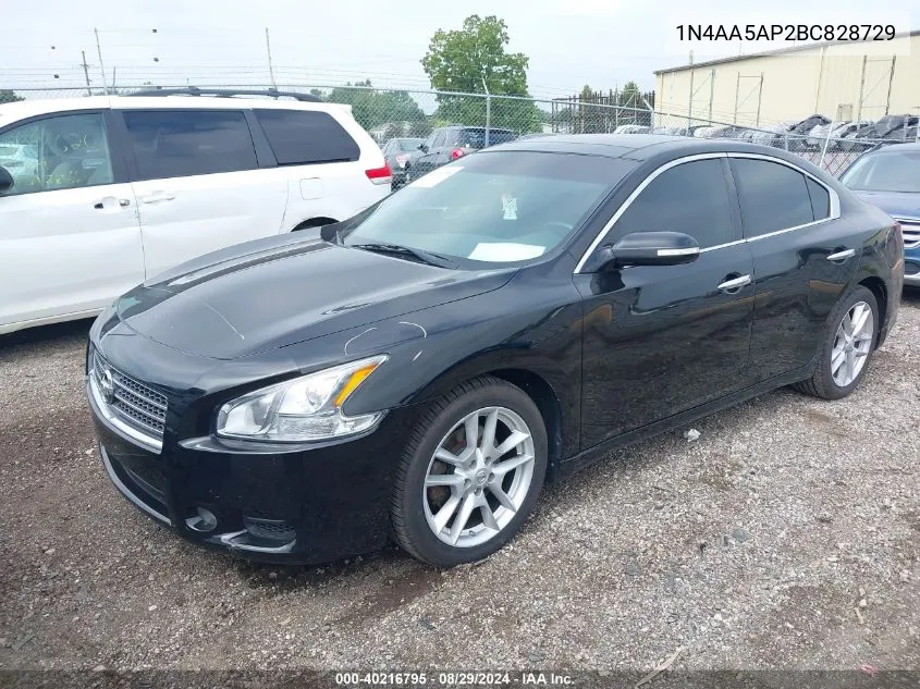 2011 Nissan Maxima 3.5 Sv VIN: 1N4AA5AP2BC828729 Lot: 40216795