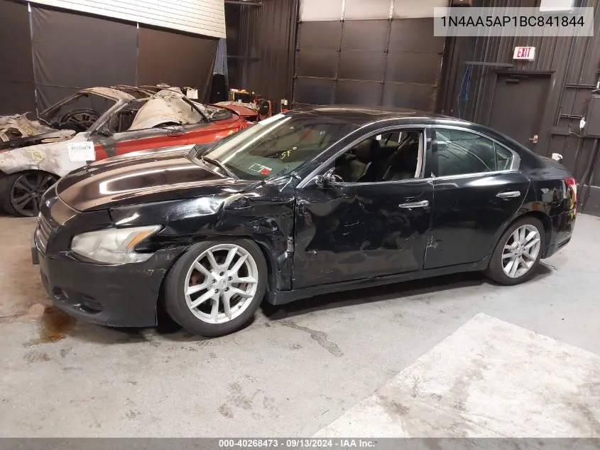 2011 Nissan Maxima 3.5 Sv VIN: 1N4AA5AP1BC841844 Lot: 40268473