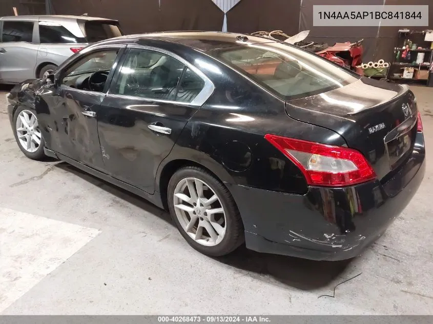 1N4AA5AP1BC841844 2011 Nissan Maxima 3.5 Sv