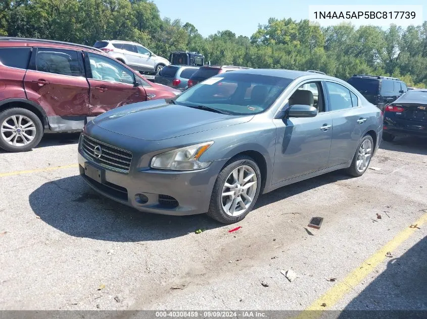 1N4AA5AP5BC817739 2011 Nissan Maxima 3.5 S