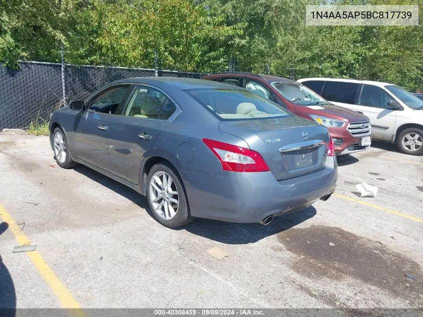 1N4AA5AP5BC817739 2011 Nissan Maxima 3.5 S