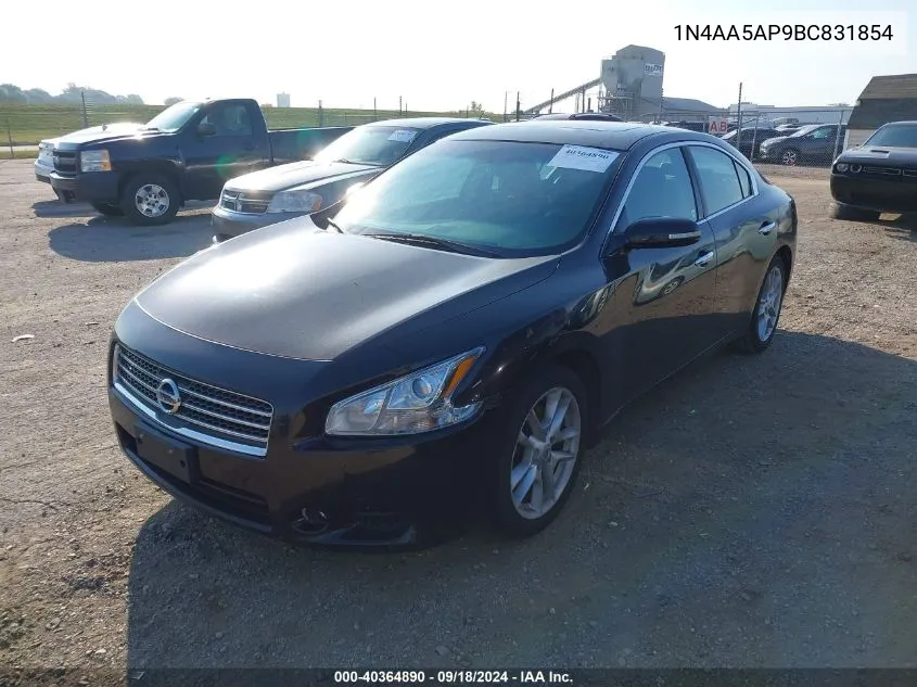 2011 Nissan Maxima 3.5 Sv VIN: 1N4AA5AP9BC831854 Lot: 40364890