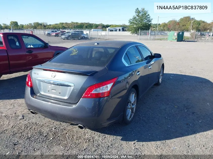 2011 Nissan Maxima 3.5 Sv VIN: 1N4AA5AP1BC837809 Lot: 40564741