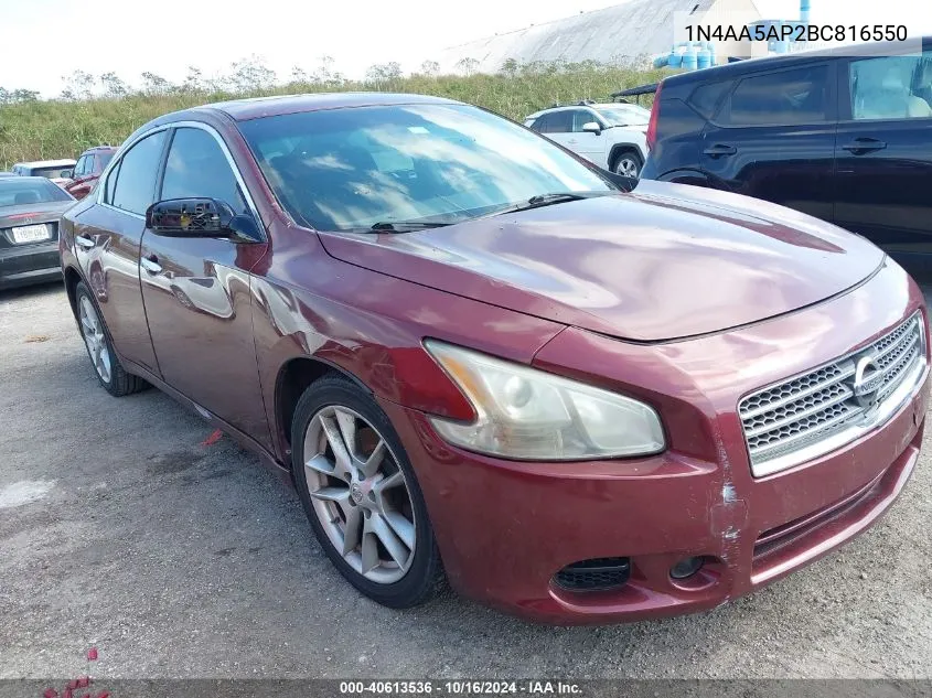 2011 Nissan Maxima 3.5 S VIN: 1N4AA5AP2BC816550 Lot: 40613536