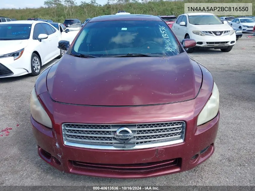 2011 Nissan Maxima 3.5 S VIN: 1N4AA5AP2BC816550 Lot: 40613536