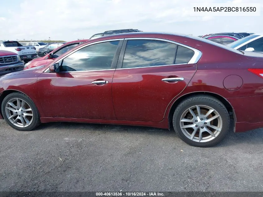 2011 Nissan Maxima 3.5 S VIN: 1N4AA5AP2BC816550 Lot: 40613536