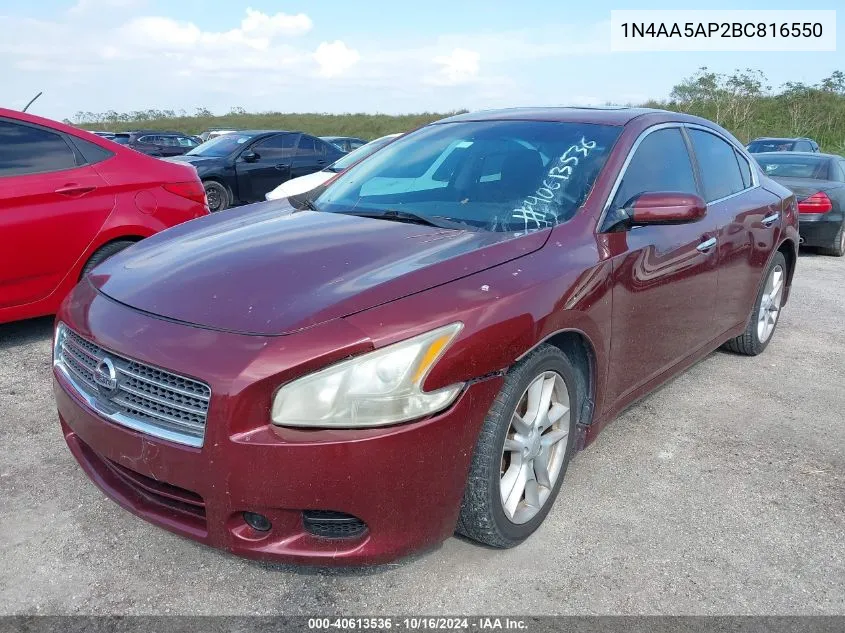 2011 Nissan Maxima 3.5 S VIN: 1N4AA5AP2BC816550 Lot: 40613536