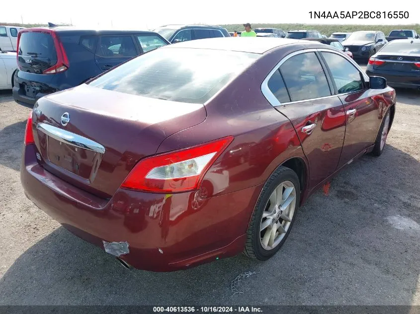 2011 Nissan Maxima 3.5 S VIN: 1N4AA5AP2BC816550 Lot: 40613536