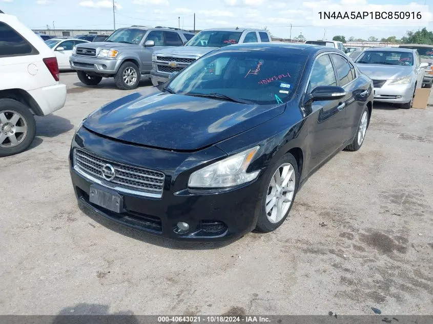 2011 Nissan Maxima 3.5 Sv VIN: 1N4AA5AP1BC850916 Lot: 40643021