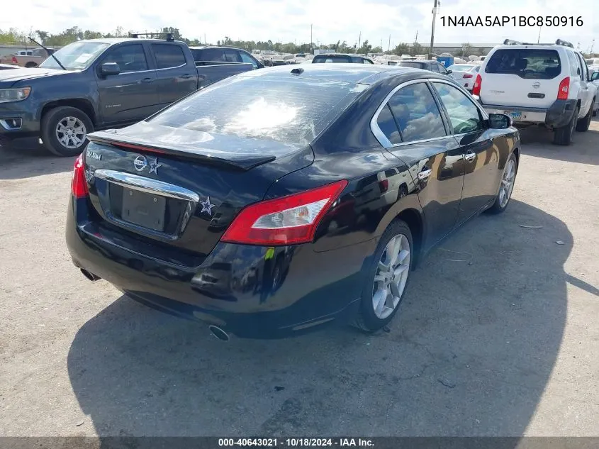 2011 Nissan Maxima 3.5 Sv VIN: 1N4AA5AP1BC850916 Lot: 40643021