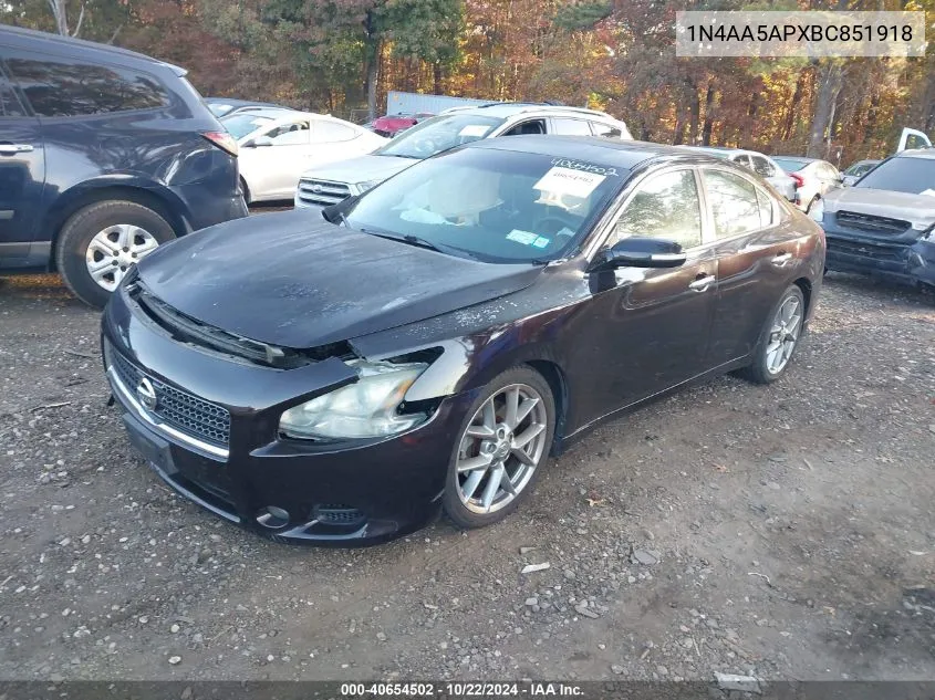 2011 Nissan Maxima 3.5 Sv VIN: 1N4AA5APXBC851918 Lot: 40654502