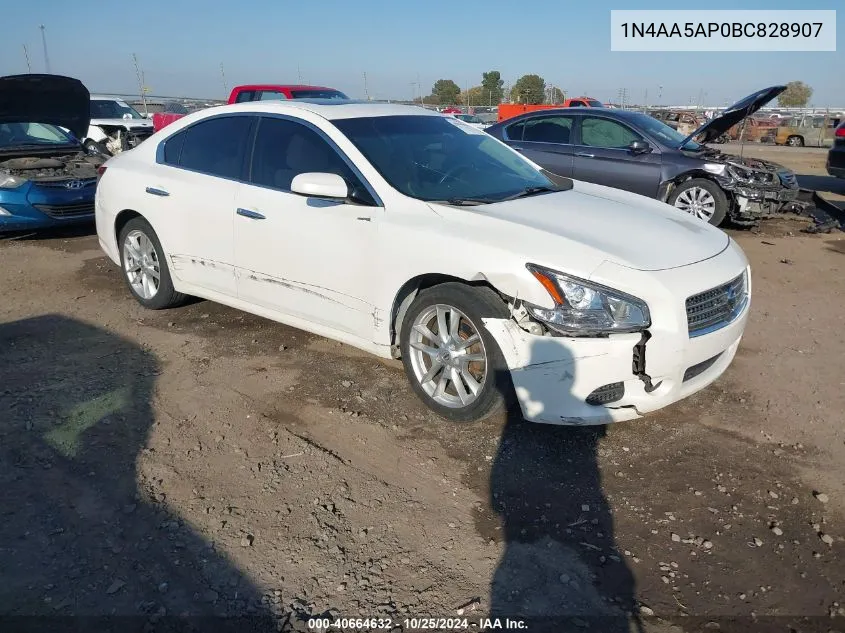 2011 Nissan Maxima 3.5 S VIN: 1N4AA5AP0BC828907 Lot: 40664632