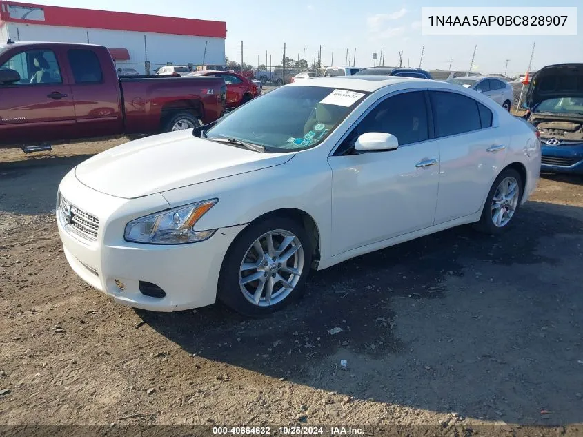 2011 Nissan Maxima 3.5 S VIN: 1N4AA5AP0BC828907 Lot: 40664632