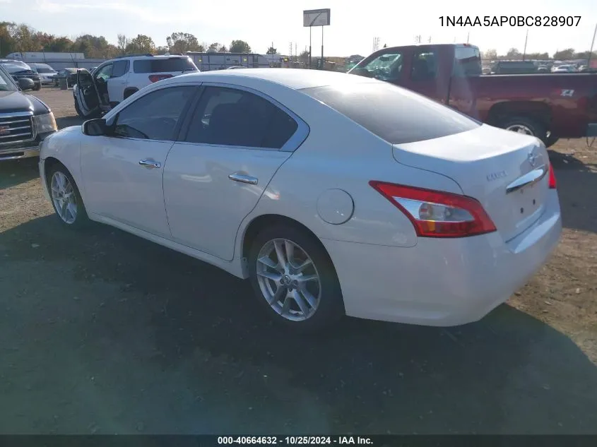 2011 Nissan Maxima 3.5 S VIN: 1N4AA5AP0BC828907 Lot: 40664632