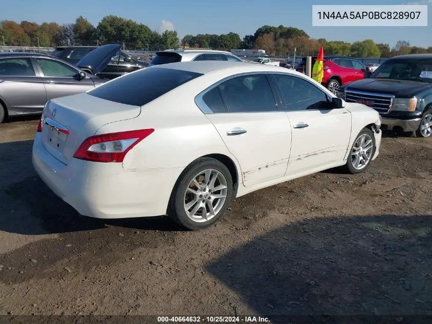 2011 Nissan Maxima 3.5 S VIN: 1N4AA5AP0BC828907 Lot: 40664632