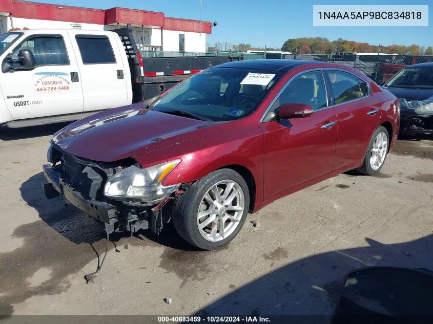 2011 Nissan Maxima 3.5 Sv VIN: 1N4AA5AP9BC834818 Lot: 40683459