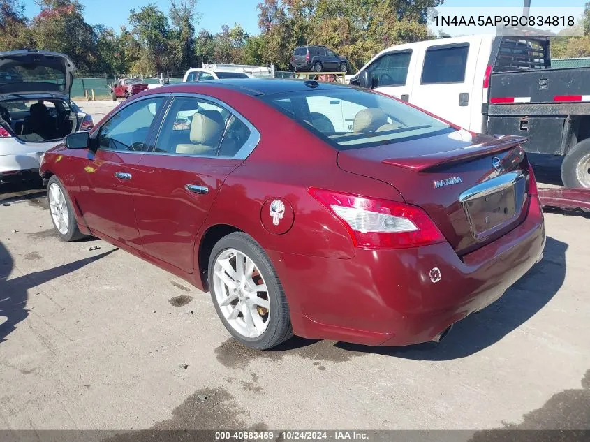 2011 Nissan Maxima 3.5 Sv VIN: 1N4AA5AP9BC834818 Lot: 40683459