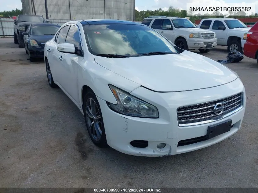 2011 Nissan Maxima 3.5 Sv VIN: 1N4AA5AP1BC855582 Lot: 40708590