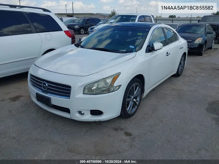 2011 Nissan Maxima 3.5 Sv VIN: 1N4AA5AP1BC855582 Lot: 40708590