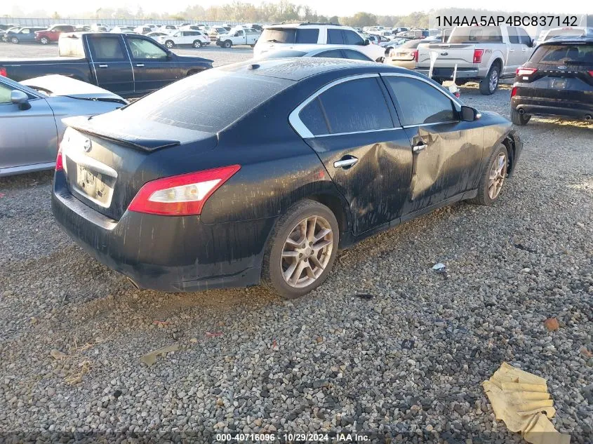 1N4AA5AP4BC837142 2011 Nissan Maxima 3.5 Sv