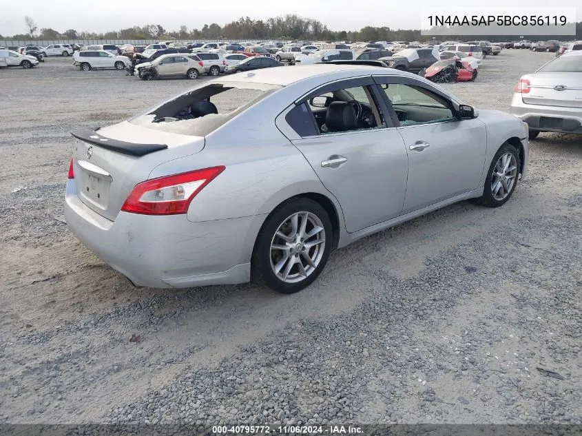 2011 Nissan Maxima 3.5 Sv VIN: 1N4AA5AP5BC856119 Lot: 40795772