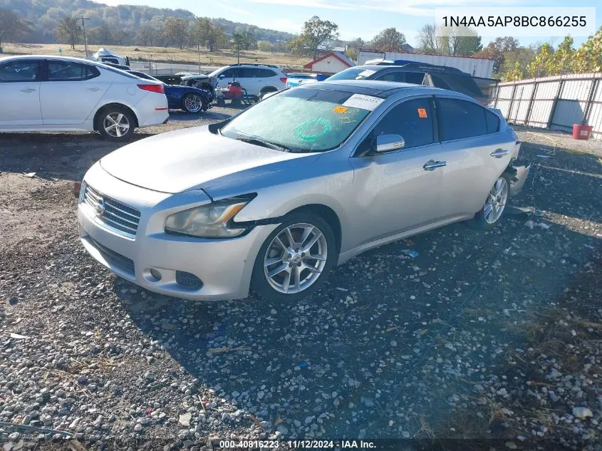 2011 Nissan Maxima 3.5 Sv VIN: 1N4AA5AP8BC866255 Lot: 40816223