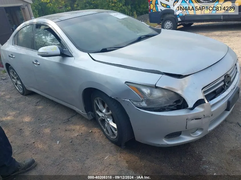 1N4AA5AP1CC814239 2012 Nissan Maxima 3.5 Sv