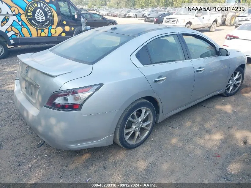 2012 Nissan Maxima 3.5 Sv VIN: 1N4AA5AP1CC814239 Lot: 40208318