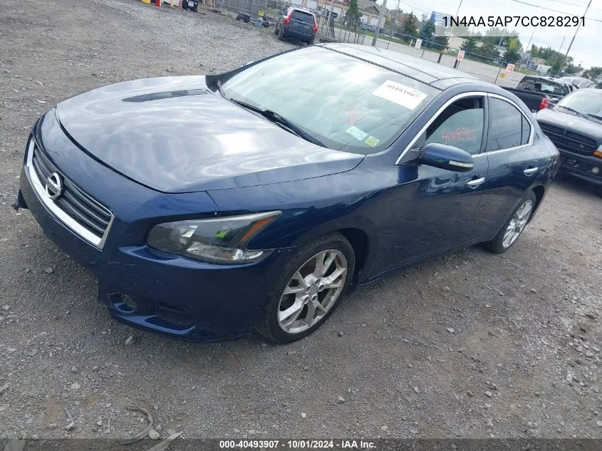 2012 Nissan Maxima 3.5 Sv VIN: 1N4AA5AP7CC828291 Lot: 40493907