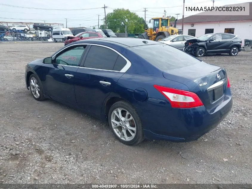 2012 Nissan Maxima 3.5 Sv VIN: 1N4AA5AP7CC828291 Lot: 40493907