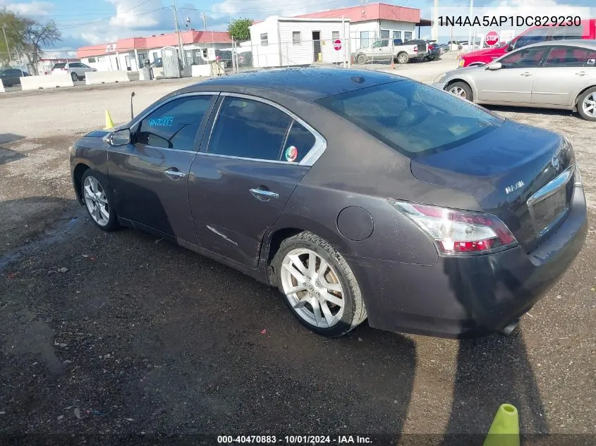 1N4AA5AP1DC829230 2013 Nissan Maxima 3.5 Sv