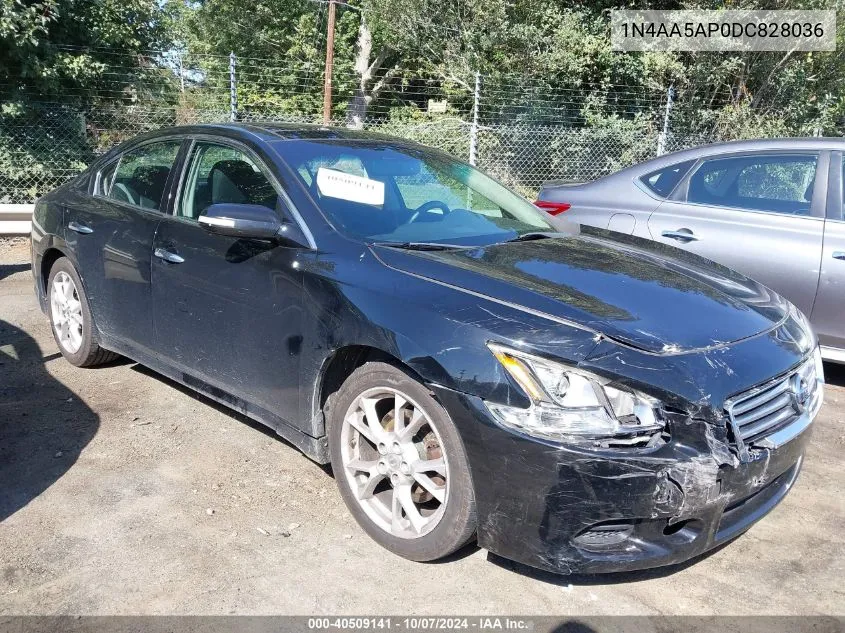 1N4AA5AP0DC828036 2013 Nissan Maxima 3.5 Sv