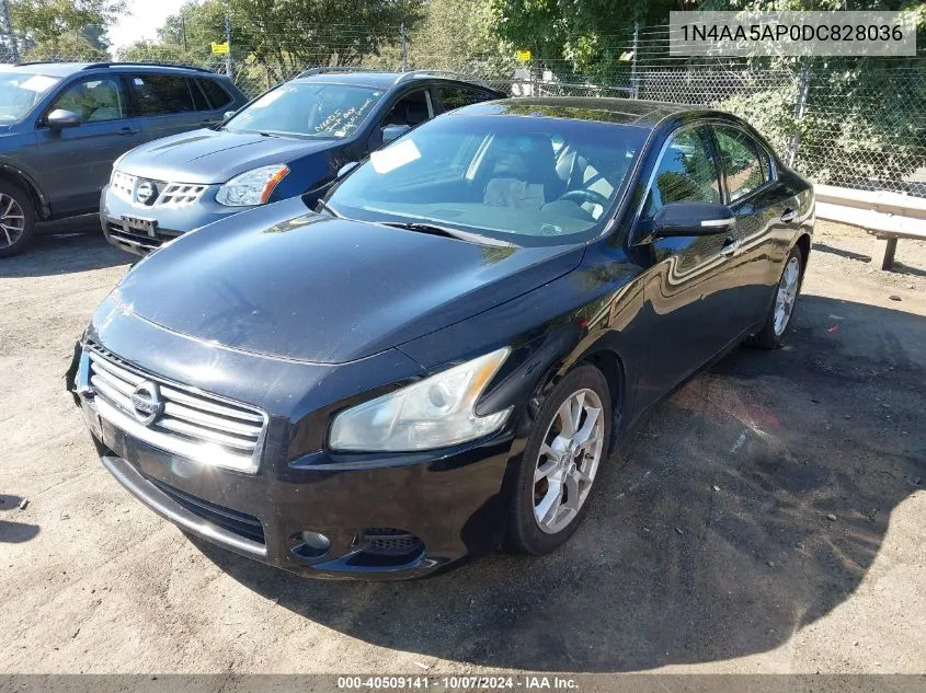 1N4AA5AP0DC828036 2013 Nissan Maxima 3.5 Sv