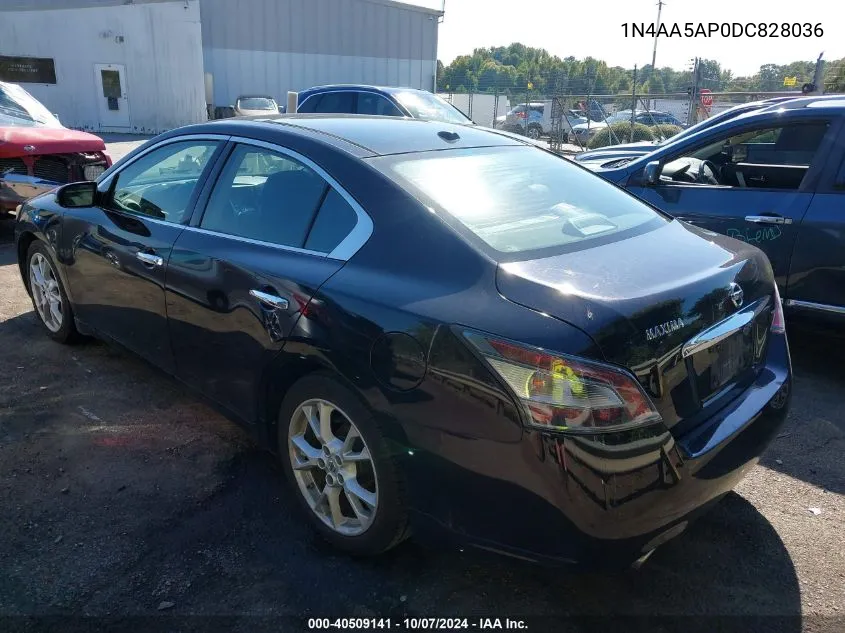 1N4AA5AP0DC828036 2013 Nissan Maxima 3.5 Sv