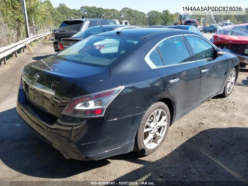 2013 Nissan Maxima 3.5 Sv VIN: 1N4AA5AP0DC828036 Lot: 40509141