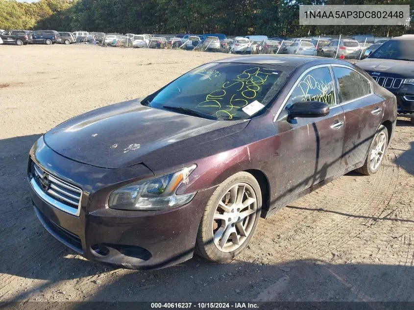 2013 Nissan Maxima 3.5 S VIN: 1N4AA5AP3DC802448 Lot: 40616237