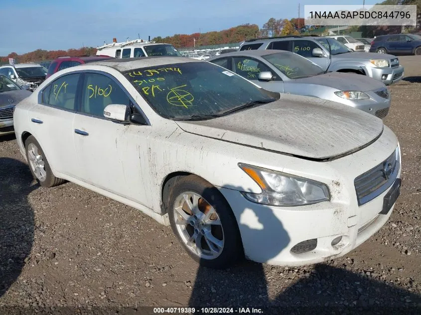 2013 Nissan Maxima S/Sv VIN: 1N4AA5AP5DC844796 Lot: 40719389