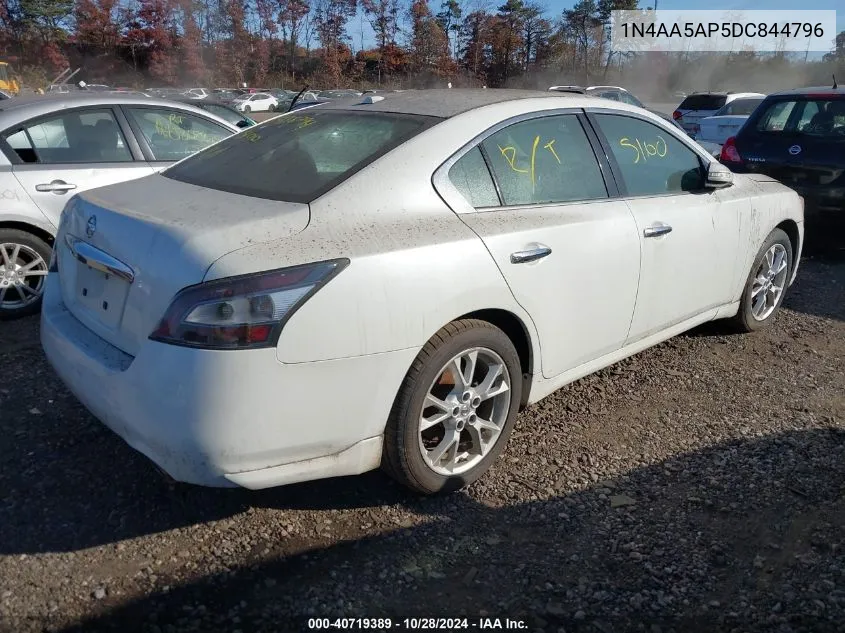 2013 Nissan Maxima S/Sv VIN: 1N4AA5AP5DC844796 Lot: 40719389