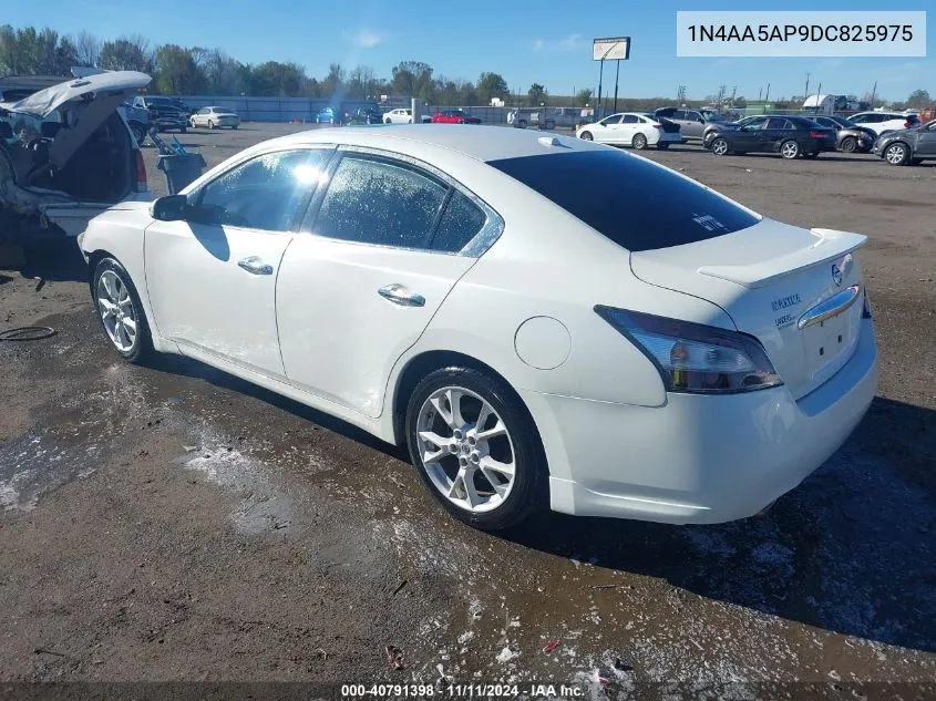 2013 Nissan Maxima S/Sv VIN: 1N4AA5AP9DC825975 Lot: 40791398