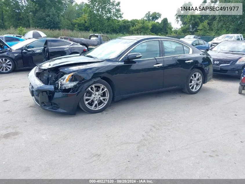 2014 Nissan Maxima 3.5 Sv VIN: 1N4AA5AP5EC491977 Lot: 40227520