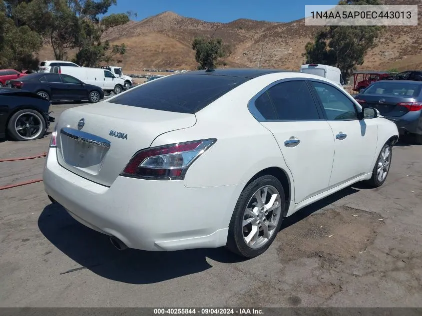 2014 Nissan Maxima S/Sv VIN: 1N4AA5AP0EC443013 Lot: 40255844