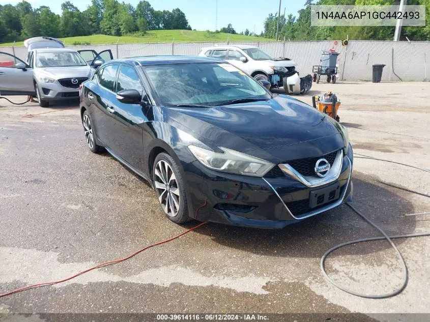 2016 Nissan Maxima 3.5 Sr VIN: 1N4AA6AP1GC442493 Lot: 39614116