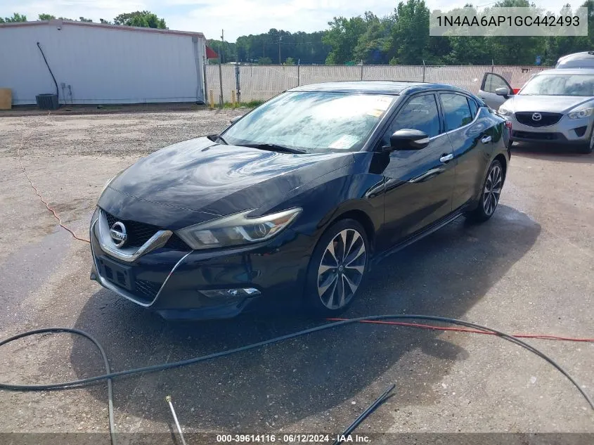 1N4AA6AP1GC442493 2016 Nissan Maxima 3.5 Sr