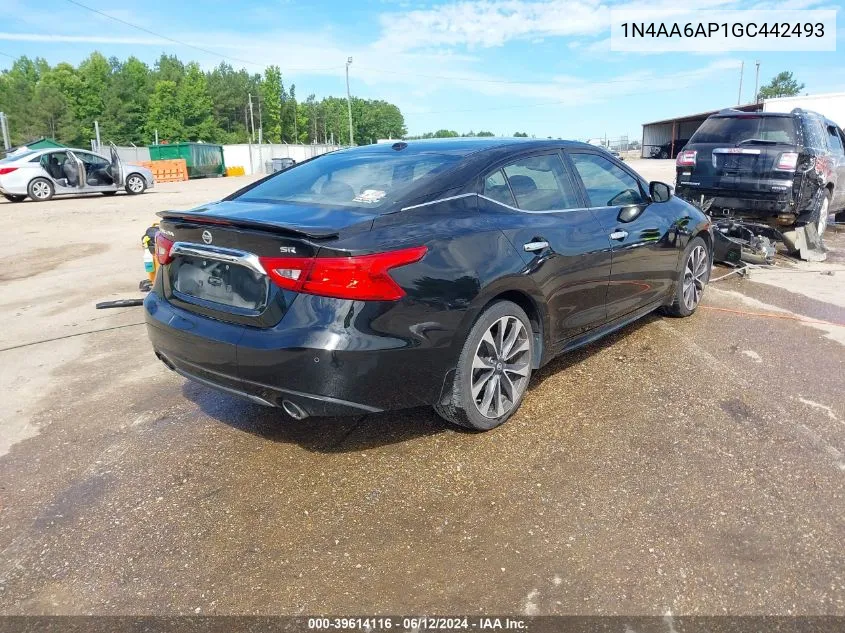 2016 Nissan Maxima 3.5 Sr VIN: 1N4AA6AP1GC442493 Lot: 39614116