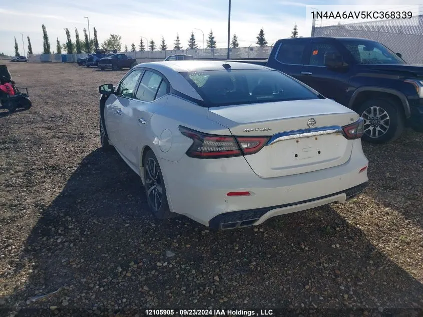 2019 Nissan Maxima VIN: 1N4AA6AV5KC368339 Lot: 12105905